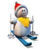 ski